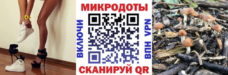 Псилоцибиновые грибы GOLDEN TEACHER  Купить где  Сызрань 